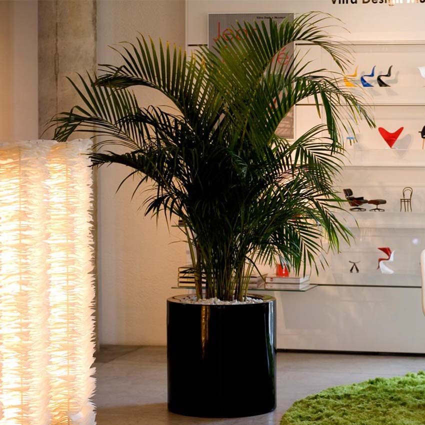 Macetero Grande Redondo de Exterior para decorar el jardín o la terraza. Diseñado por Studio Vondom. Macetero de diseño moderno fabricado en España. Resina de Polietileno de alta resistencia al exterior y al sol.