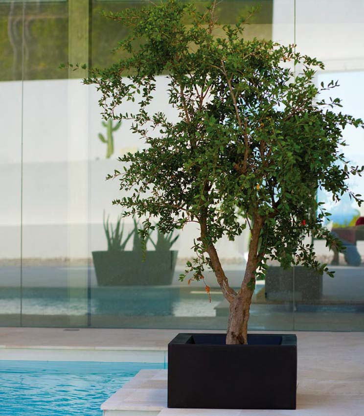 Macetero Cuadrado Jardinera de Exterior para decorar el jardín o la terraza. Diseñado por Studio Vondom. Macetero de diseño moderno fabricado en España. Resina de Polietileno de alta resistencia al exterior y al sol.