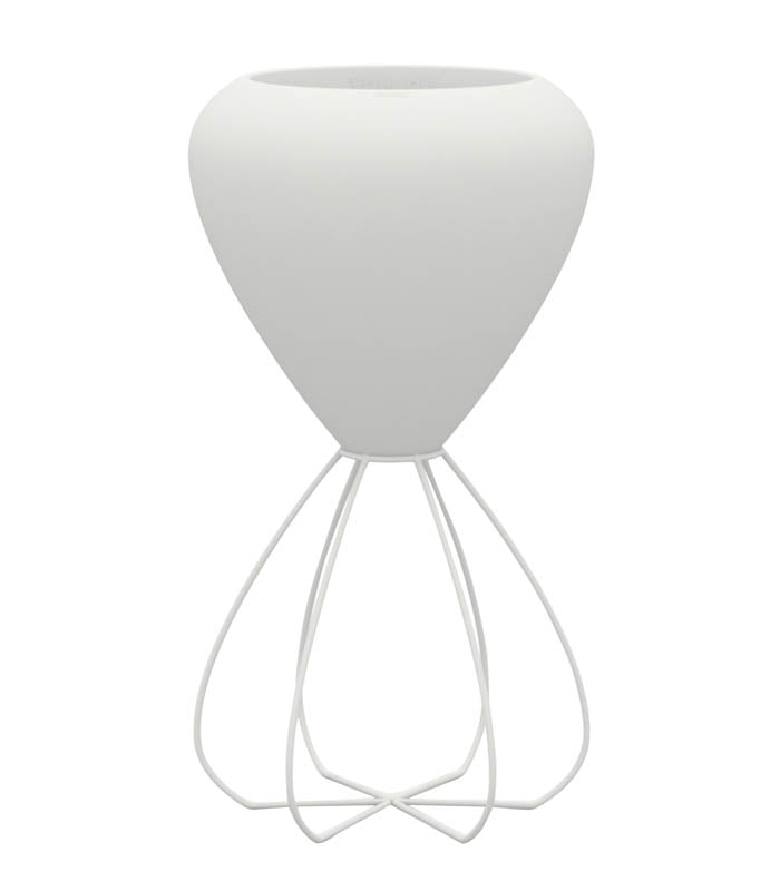 PAL Spaghetti 55x102