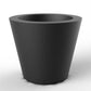 CONO